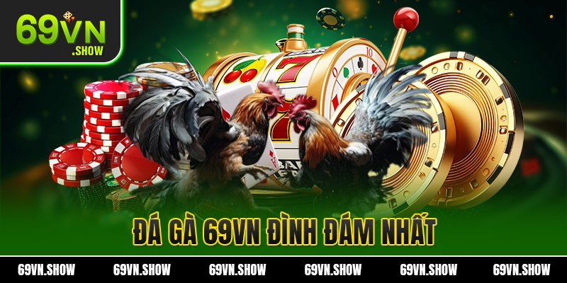Các sảnh chọi gà hấp dẫn nhất tại nhà cái uy tín 69VN