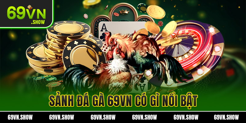 Lý do mà bạn nên tham gia chơi chọi gà tại nhà cái 69VN